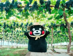 Wah! Ternyata Tiap Kota di Jepang Punya Maskot Yang Imut dan Lucu!