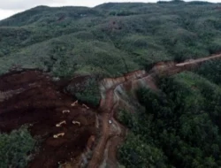 Skandal Senayan: Anggota DPR Dicurigai Otak Tambang Nikel Ilegal di Pulau Gebe