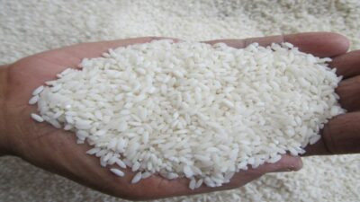 Daniel Johan Kritik Harga Beras Mahal Saat Stok Melimpah: Sungguh Ironis!