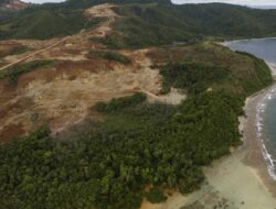 Tagar #SavePulauGebe Menggema, Chusnunia Halim Desak Tindak Tegas Tambak Ilegal di Halmahera