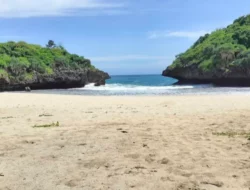 Sedahan, Pantai Untuk Konservasi Penyu Yang Dikelilingi 2 Bukit di Gunungkidul
