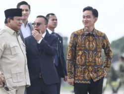Syahganda Sebut Ada Sosok Dasco di Balik Skenario Amnesti Hasto dan Abolisi Tom Lembong