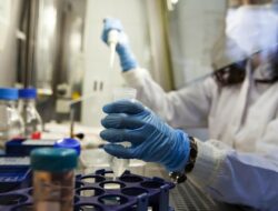Berkedok Dokter Hewan, Dosen UGM Praktik Terapi Stem Cell Ilegal di Magelang