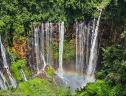 Wajib Dikunjungi! Ini 10 Air Terjun Tertinggi di Indonesia