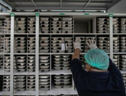 Terungkap! KSP Sebut Dari 8.583 Dapur MBG Hanya 34 Kantongi Sertifikat Higienis