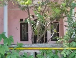 Sahroni Tewas Dibunuh? Jasadnya Terkubur di Belakang Rumah Bersama Istri, Anak dan Mertua!