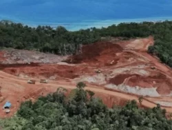 Tambang GAG Nikel Kembali Beroperasi, Greenpeace Kesal Ekosistem Raja Ampat Terancam Lagi