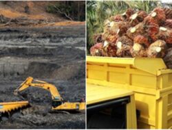 Bambang Hariyadi: Pemerintah Jangan Jor-joran Beri Izin Tambang Nikel dan Sawit!