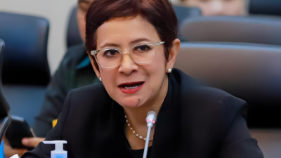 Nurul Arifin: Program Pro Rakyat Komdigi Investasi Besar Bagi Masa Depan Bangsa