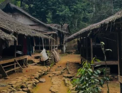 Ini 5 Aktivitas Seru Yang Bisa Kamu Lakukan Saat Wisata ke Baduy