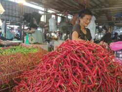 Harga Cabai Merah Meroket, Mendagri Tito Karnavian Minta Warga Tanam Sendiri di Rumah
