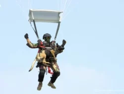 Prajurit Kopassus Terjun Payung Bawa Anjing di Monas saat HUT TNI