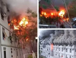 Kebakaran Landa IKN Nusantara, Hunian Pekerja Konstruksi Ludes Dilalap Api