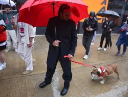 Lewis Hamilton Absen Uji Coba Ban Pirelli Ferrari di Mugello, Anjing Bulldog Miliknya Sakit