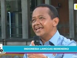 Menteri ESDM Bahlil Lahadalia Bakal Bangun Panel Surya 80-100 Gigawatt Tanpa APBN