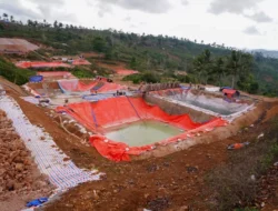 KPK Ungkap Tambang Emas Ilegal Libatkan WN China Dekat Mandalika Keruk 3 Ribu Gram Emas Per Hari