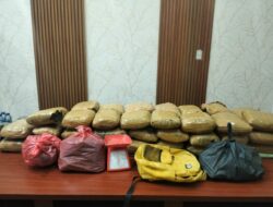 Bareskrim Polri Gagalkan Penyelundupan 47 Kg Ganja Siap Edar di Sumut, 2 Tersangka Diringkus