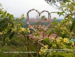 Jarang Terekspos, Ini Potensi Bukit Kukus Jadi Destinasi Wisata di Bangka Barat