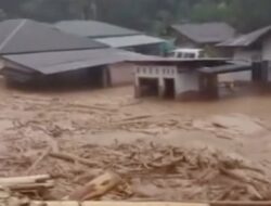 Sugiyanto: 5 Menteri Ini Layak Dicopot Buntut Bencana Banjir Sumatera