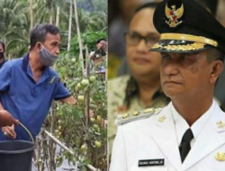 Jejak Perlawanan Wakil Bupati Sangihe: Dari Surat Penolakan Tambang Emas hingga Kematian Misterius di Udara