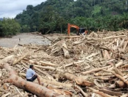 Ditjen Gakkum Kemenhut Gerak Cepat Buru Mafia Kayu di Balik Banjir Bandang Sumatera
