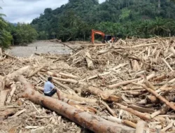 Ahmad Muzani Yakin Tsunami Kayu Gelondongan di Sumatera Hasil Pembalakan Liar Bukan Pohon Tumbang