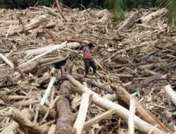 Usut Dugaan Pembalakan Liar Biang Kerok Bencana Sumatera, Firman Soebagyo Sebut DPR Bakal Panggil Menhut Raja Juli