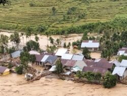 Kerusakan Lingkungan di Sumatera Dampak Kebijakan Pemerintah Tidak Cerdas