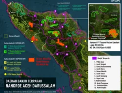 Jatam Tuding Konsensi 97 Ribu Ha Perkebunan Diduga Milik Prabowo Picu Banjir Aceh