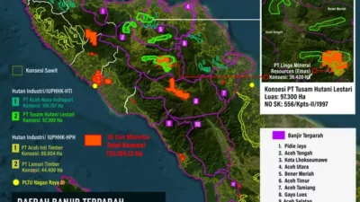 Jatam Tuding Konsensi 97 Ribu Ha Perkebunan Diduga Milik Prabowo Picu Banjir Aceh