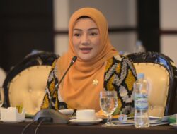 Cegah Risiko Penyalahgunaan AI dan Etika Keamanan, Adde Rosi Sebut RI Butuh UU Khusus Atur AI
