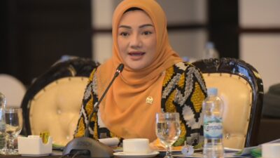 Cegah Risiko Penyalahgunaan AI dan Etika Keamanan, Adde Rosi Sebut RI Butuh UU Khusus Atur AI