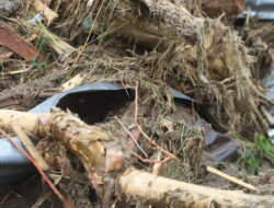 Bareskrim Polri Selidiki Dugaan Kayu Pembalakan Liar Terbawa Banjir di Aceh, Sumut dan Sumbar