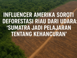 Influencer Amerika Soroti Deforestasi Riau dari Udara: Sumatra Jadi Pelajaran Tentang Kehancuran