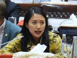 Puteri Komarudin Dorong Ditjen Pajak Genjot Strategi Kejar Target Penerimaan 2025