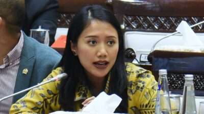 Puteri Komarudin Dorong Ditjen Pajak Genjot Strategi Kejar Target Penerimaan 2025