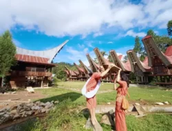 Pesona Alam, Budaya, dan Kemandirian Desa Wisata Landorundun di Toraja Utara