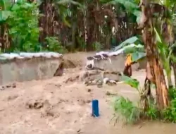 Tanggul Sungai Plumbon Jebol, Ratusan Rumah di Kota Semarang Terendam Banjir