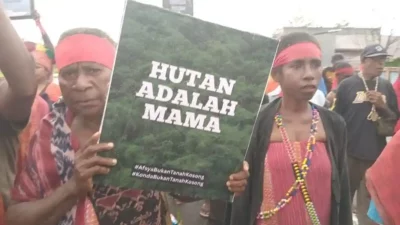 WALHI Prediksi Papua Bakal Seperti Sumatera Jika Terus Deforestasi dan Ditanami Sawit