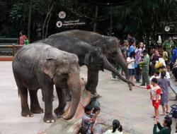 Keren! Ini 5 Kebun Binatang di Asia Tenggara Dengan Area Edukasi Anak Terbaik