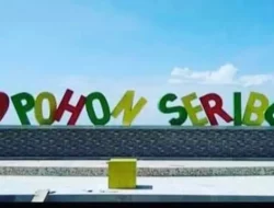 Menikmati Matahari Terbenam di Langit Jingga Saat Kunjungi Pohon Seribu Sasak di Pasaman Barat