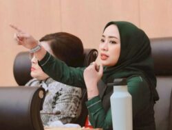 Ratna Juwita Sari Soroti Capaian Bauran Energi Meleset: Ada Masalah di Kementerian ESDM