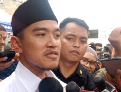 Kaesang Targetkan Jawa Tengah Jadi Kandang Gajah, Mimpi di Siang Bolong?