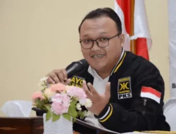 Sekjen PKS Soroti Kritik Demokrasi Ala Komika Pandji Pragiwaksono: Pahit Namun Menyehatkan!