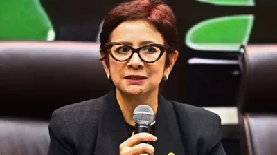 Nurul Arifin Harap Perlindungan Data Pribadi Tak Menggerus Kebebasan Pers