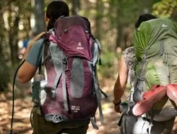 Turis AS Pingsan Lalu Meninggal Saat Trekking di TN Bali Barat, Buleleng
