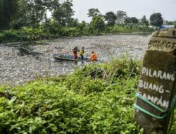 Menteri LH Hanif Faisol Dukung Fatwa MUI Haramkan Buang Sampah di Sungai