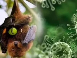10 Virus Paling Mematikan Sepanjang Sejarah Manusia, Termasuk Virus Nipah?