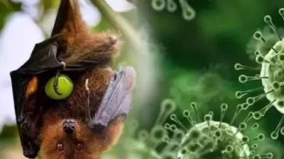 10 Virus Paling Mematikan Sepanjang Sejarah Manusia, Termasuk Virus Nipah?