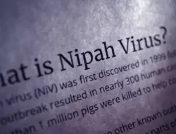 Tanpa Vaksin dan Obat, Pakar Kesehatan Eks Direktur WHO Minta Indonesia Serius Waspadai Virus Nipah